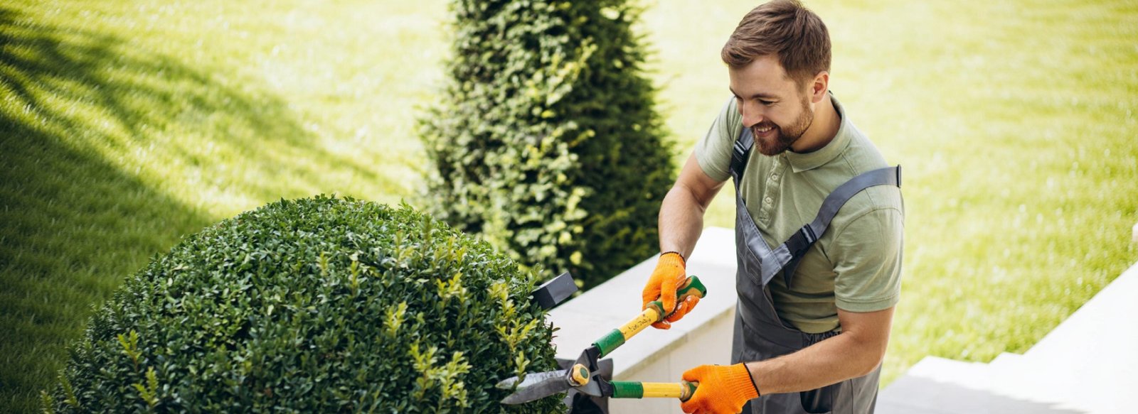 projects hero bg.jpg